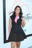 The Classy Dress