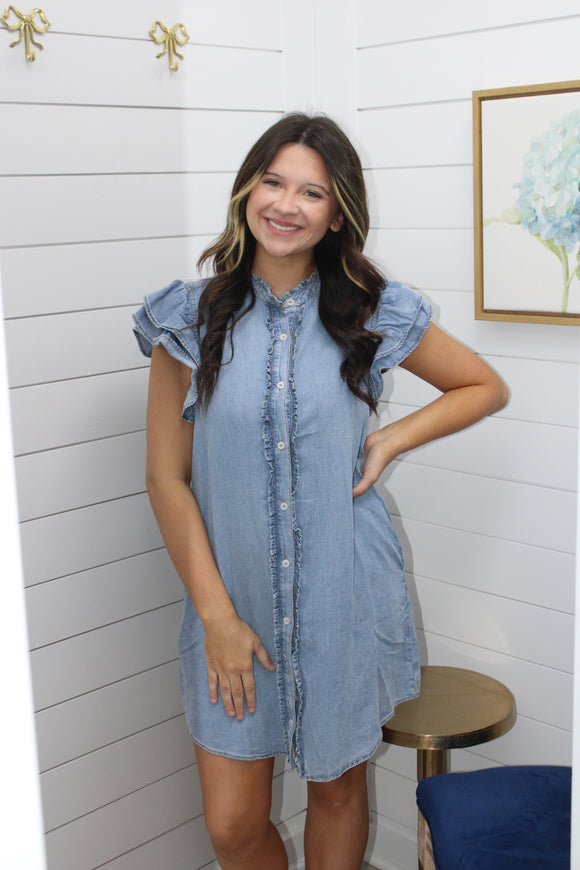 Daisy Denim Dress