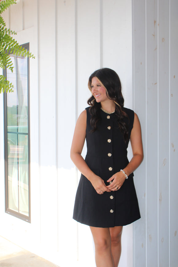 Ideal Moment Dress-black