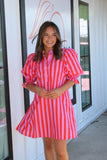 Flower Adventures Dress Pink